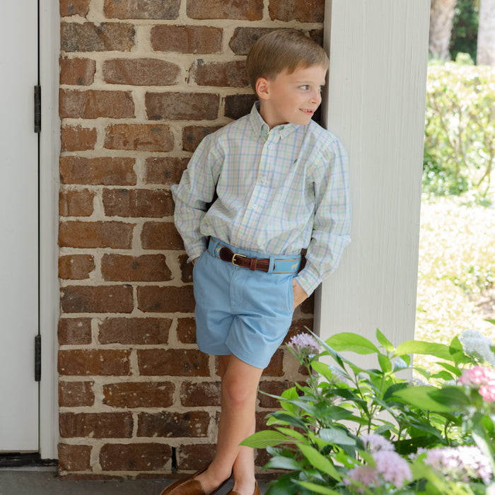 Buddy Belt - Golden Dog on Light Blue