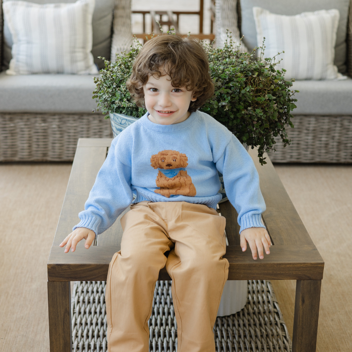 Crew Neck Sweater - Doodle on Lt. Blue