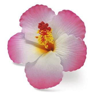Hibiscus Hair Clip (Pink)