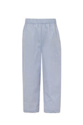 Light Blue Gingham Pants