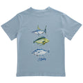 Logo Tee - Fish Trio on Bayberry