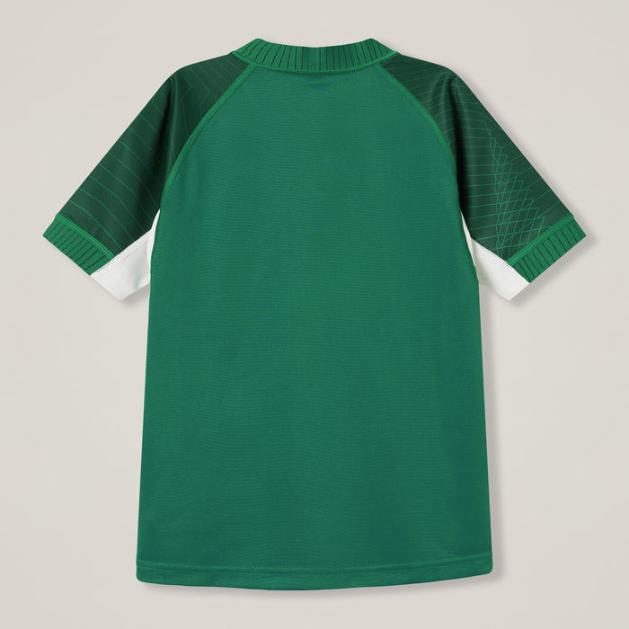 Men's Ireland Home Pro Jersey Green