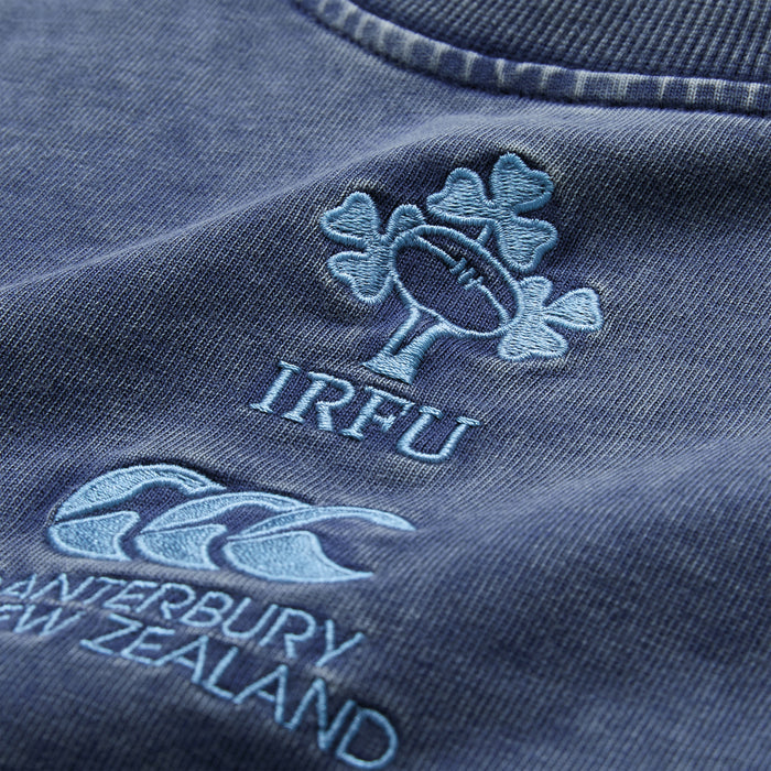 Men's Ireland Premium Washed T-Shirt Grey