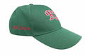 NEW! Baseball Hat Limited Edition 99th Season
