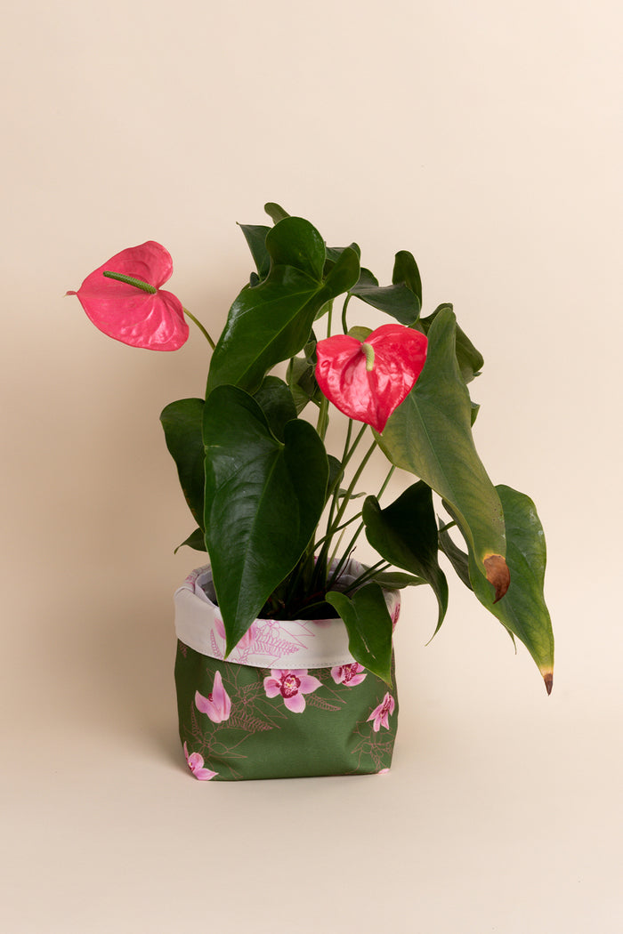 Plant Pot Cover - Ivory/Palm Cymbidium