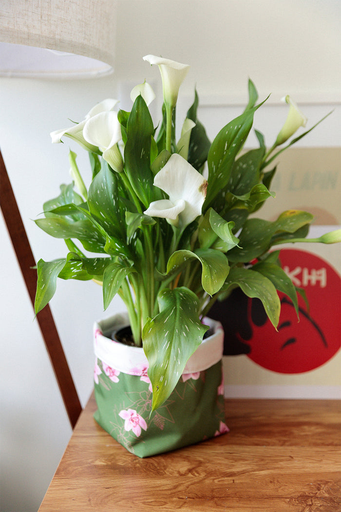 Plant Pot Cover - Ivory/Palm Cymbidium