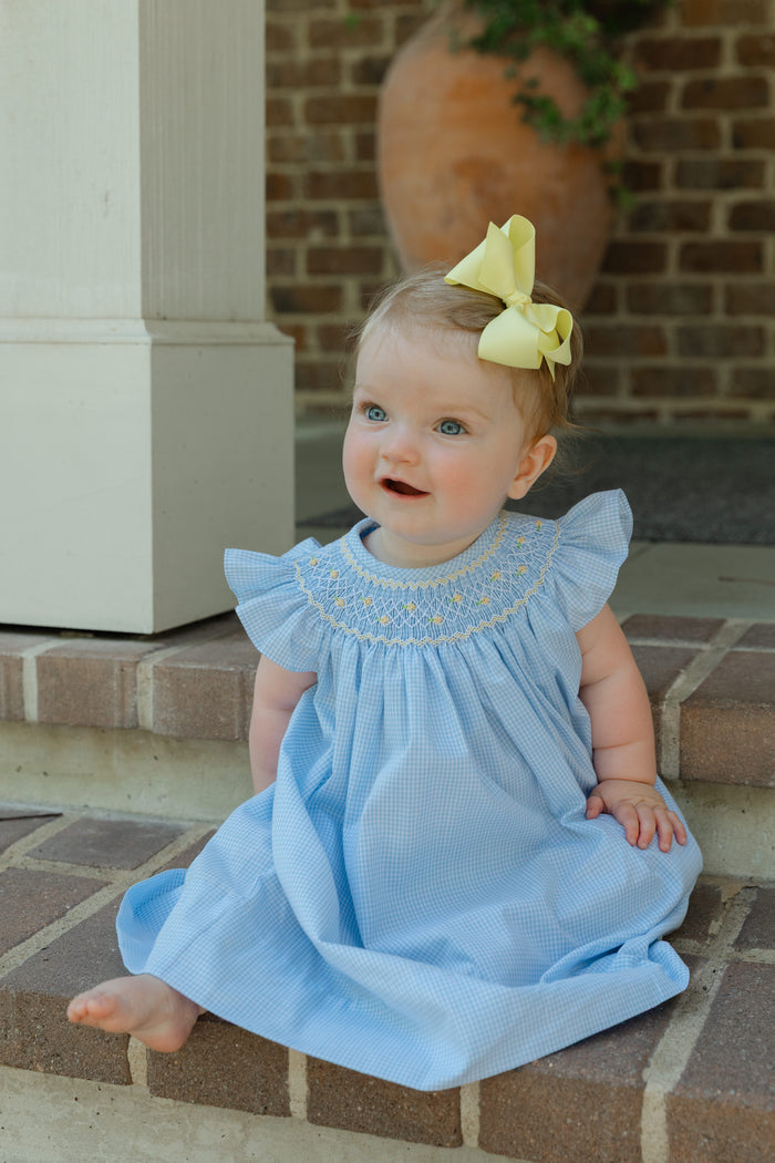 Sunshine Floral with Blue Check - Bishop