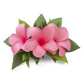 Trio Plumeria Hair Clip - Pink