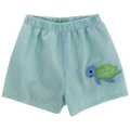 Turtle Tides - Trunk